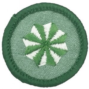 Vintage 1964 Girl Scouts Badge - Round 1.5”